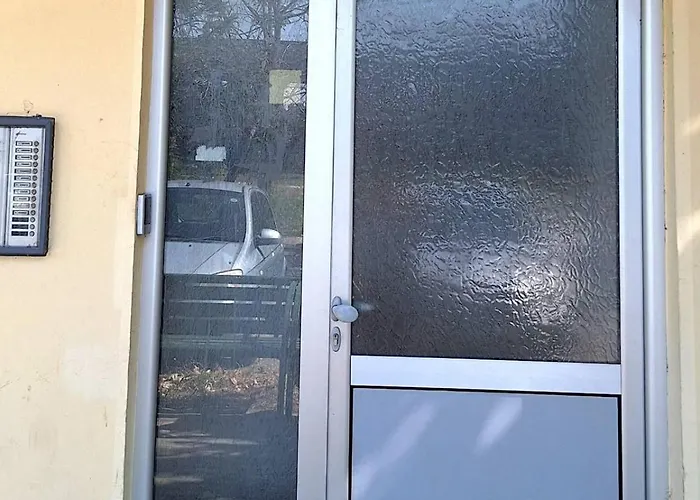 Pineapple סקופיה